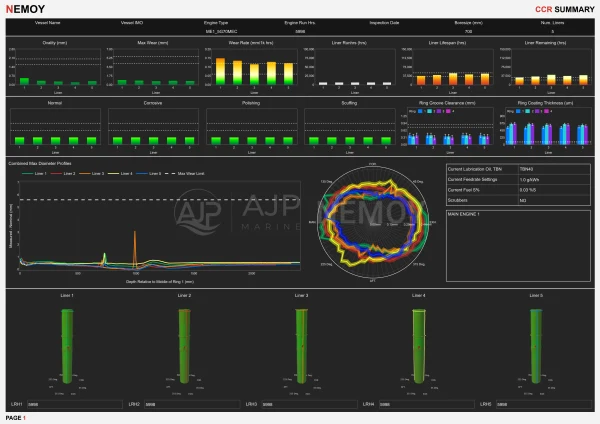 Report overview with comparative cylinder charts, wear profiles and 3D liner representations.